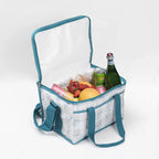 Bolso Cooler para Picnic Disney